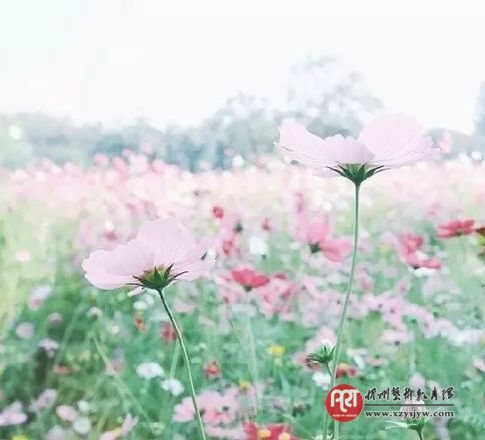 汪国真短诗九首
