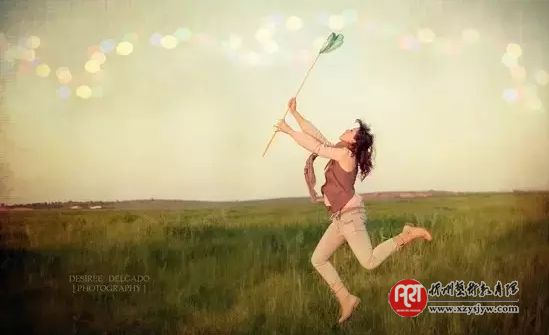 教你如何拍摄迷人的焦外散景