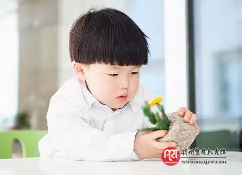 怎样培养出独立的孩子?