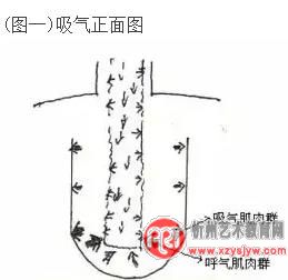 独家歌唱发声自我训练速成法