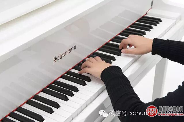 初学者和进阶者的练琴方法