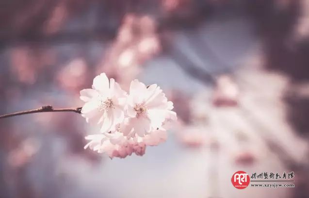 孩子练琴时，如何掌握好一个“度”？