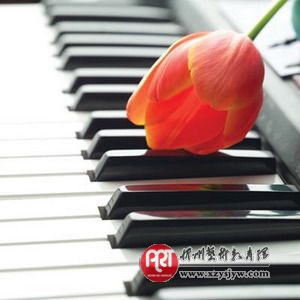 钢琴保养十五招