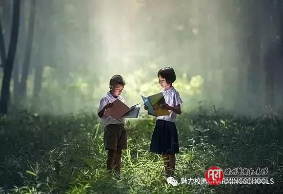 董卿的《朗读者》告诉我们：孩子大声朗读的十大好处