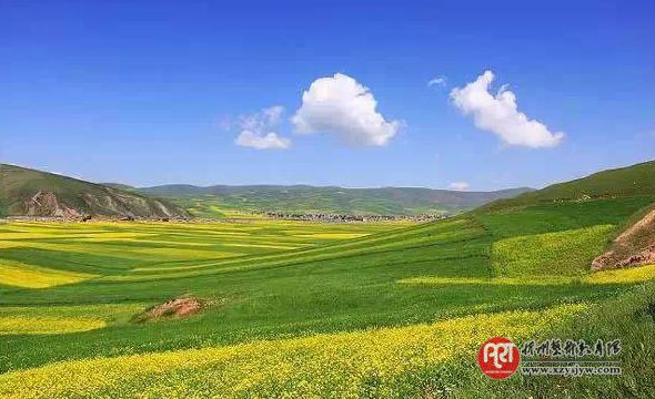手机总拍不出漂亮照片?先学好这7个入门技巧