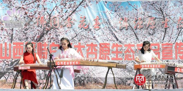 泽星古筝培训中心抚筝杏林 谱春之乐章