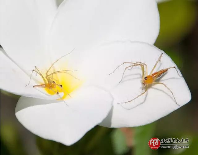 好照片的秘诀 - 对比和冲突