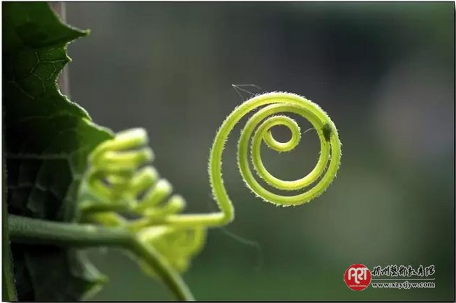 如何选择最恰当的测光模式