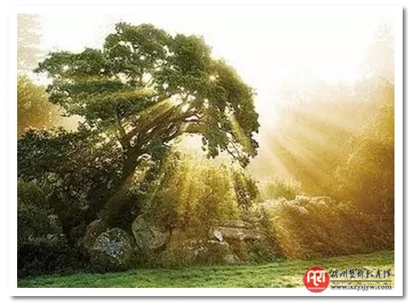 【技巧】玩摄影,先学好构图
