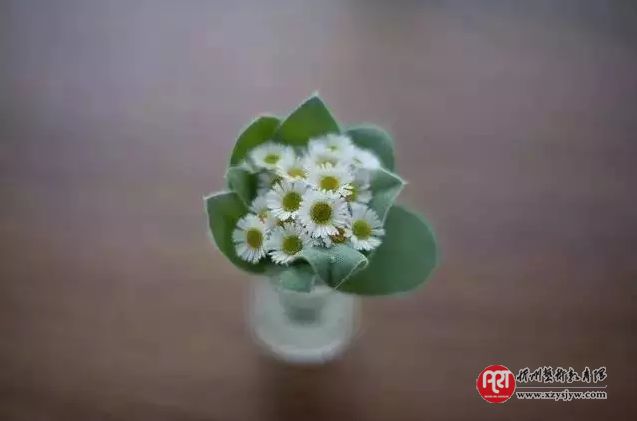 老规矩——既是教养，亦是礼仪