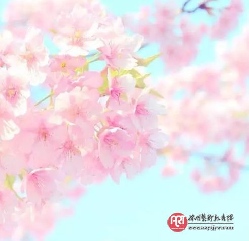 汪国真短诗九首