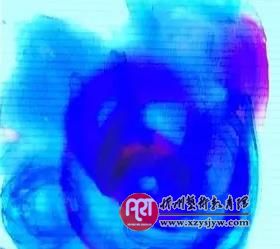 杨景芝:艺术教育对儿童思维发展起决定性作用