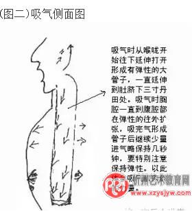 独家歌唱发声自我训练速成法