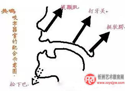 那些广告中的磁性好声音是如何练成的？