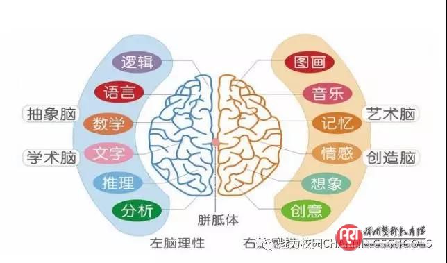 董卿的《朗读者》告诉我们:孩子大声朗读的十大好处
