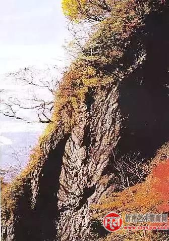 张大千：画山最重皴法 