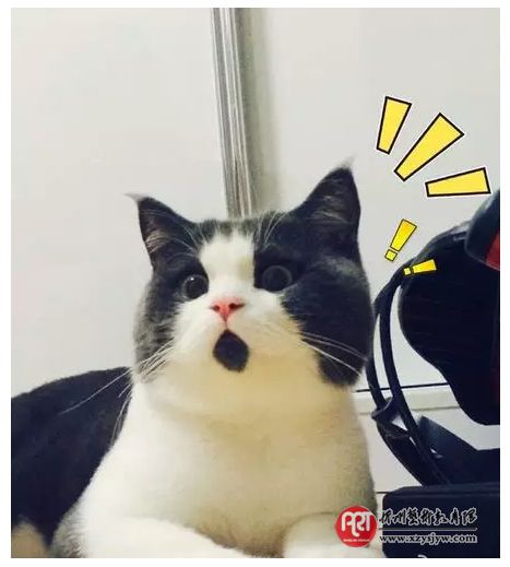 孩子在考试的时候,为什么错的总是