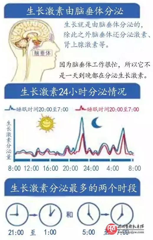 晚上几点睡，竟影响孩子一生