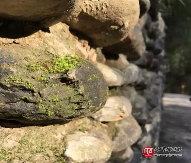 我打算不再给孩子买玩具了