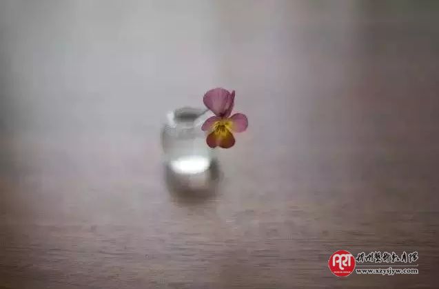 老规矩——既是教养，亦是礼仪