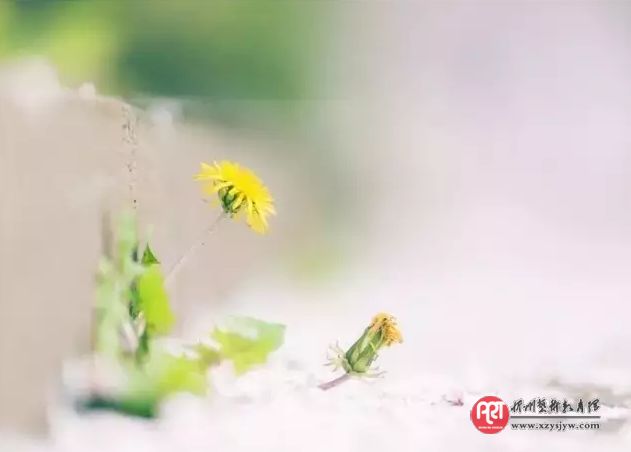 学会拐弯,同样是人生大智慧