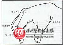 右手如何演奏吉他【文字教学+视频讲解】