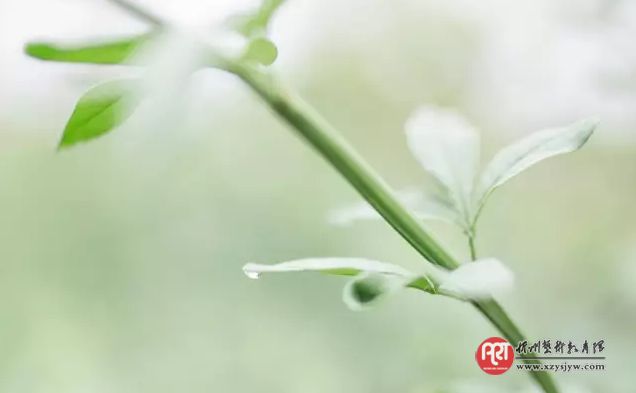 三流的父母做保姆,二流的父母做教练,一流的父母怎么样