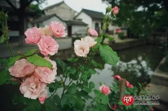 135个小学生必背国学常识汇总