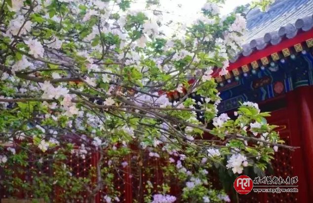 容易被误解的10个文学常识