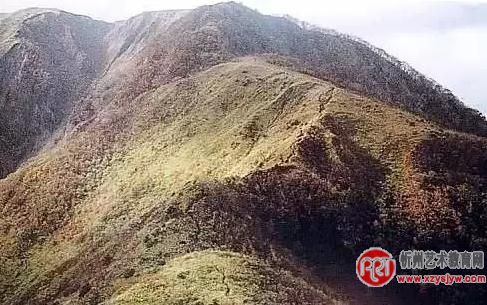 张大千：画山最重皴法 
