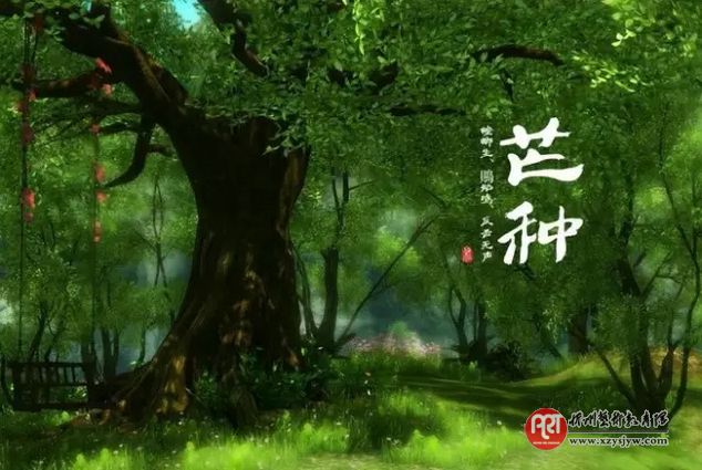 芒种时节,邂逅最美的芒种诗词