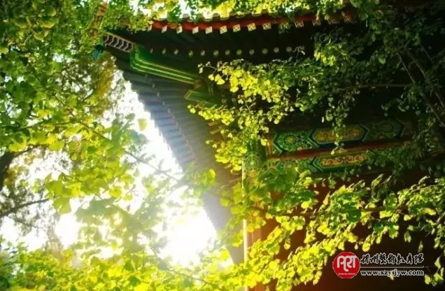 容易被误解的10个文学常识