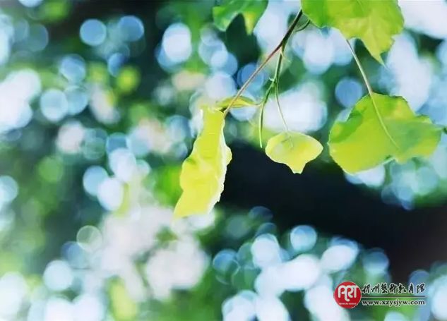 学会拐弯，同样是人生大智慧