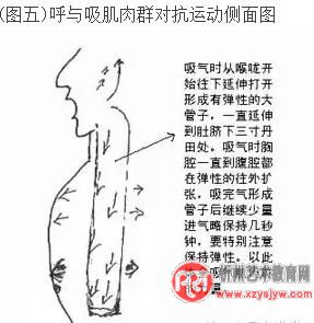 独家歌唱发声自我训练速成法