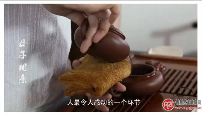 三分钟教你成为茶道高手