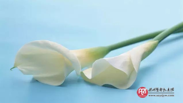 三流的父母做保姆,二流的父母做教练,一流的父母怎么样