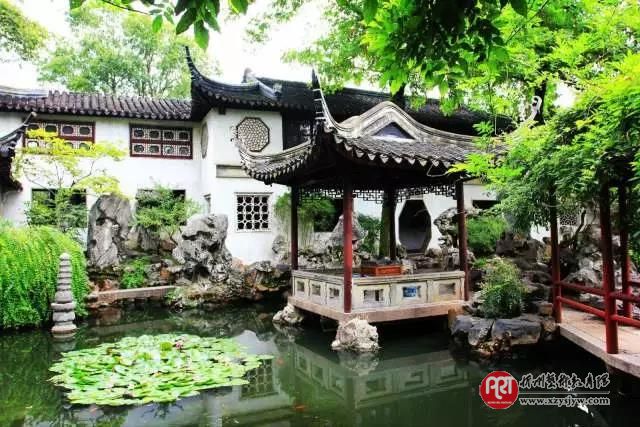 央视台柱子也是艺术特长生