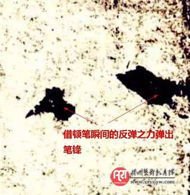 书法,运笔调锋是第一步!