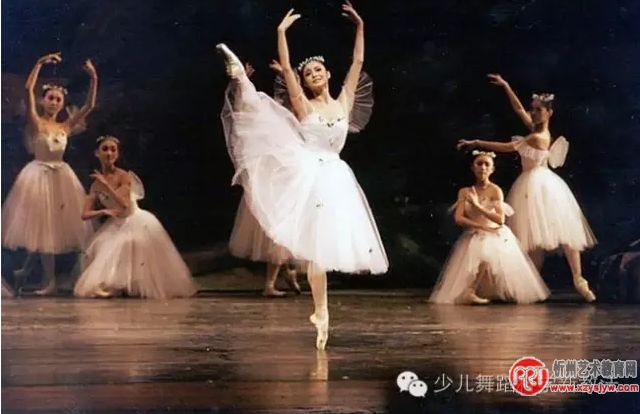 你学的是什么舞蹈？