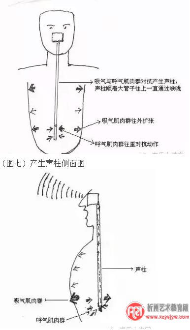 独家歌唱发声自我训练速成法