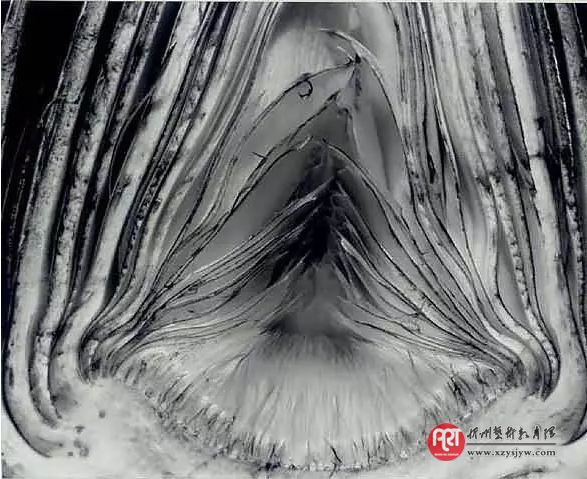 关于摄影的纪实性与艺术性研究