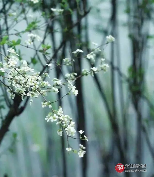 3000年历史文化沉积下来的精华语录168条