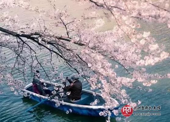 为什么知道很多摄影知识,却依然拍不出好照片?