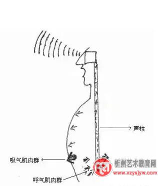独家歌唱发声自我训练速成法