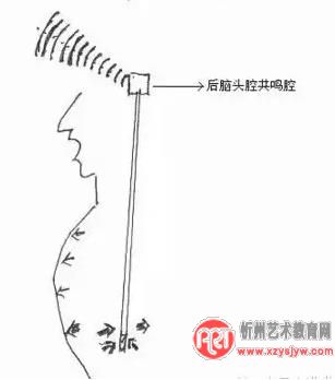独家歌唱发声自我训练速成法