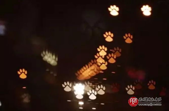 教你如何拍摄迷人的焦外散景